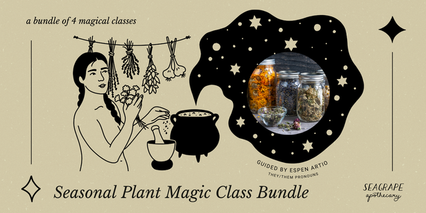 Seasonal Plant Magic Class Bundle