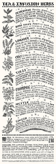 Tea and Infusion Herbs Poster