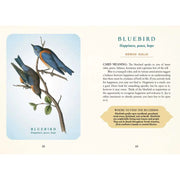 Spiritual Meaning of Birds Oracle Deck