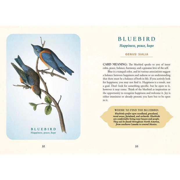 Spiritual Meaning of Birds Oracle Deck