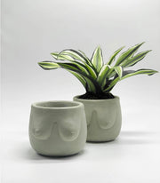 Hera Concrete Planter