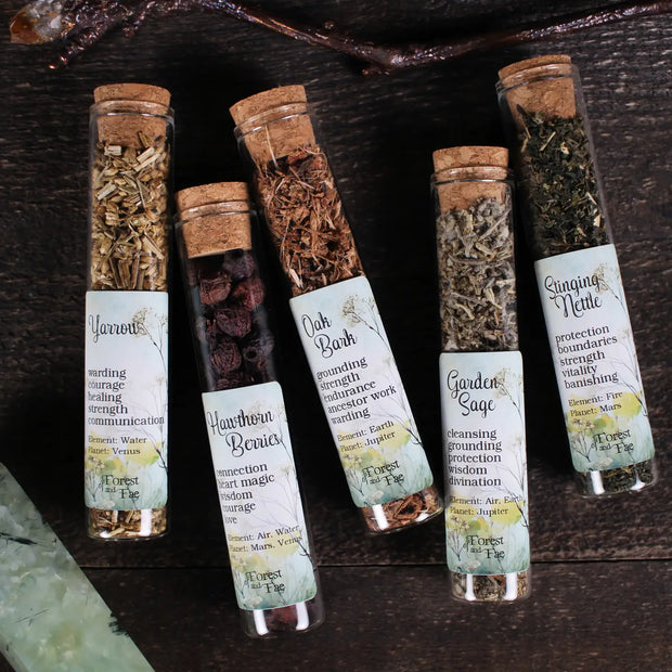 Apothecary Herbs (Set of 5)