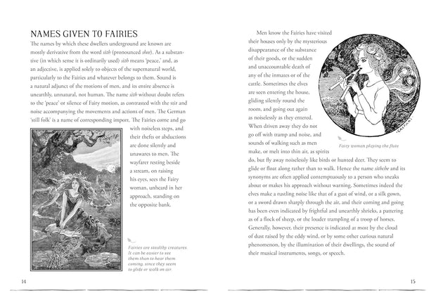 Field Guide To Fairies and Magical: Understanding Fae