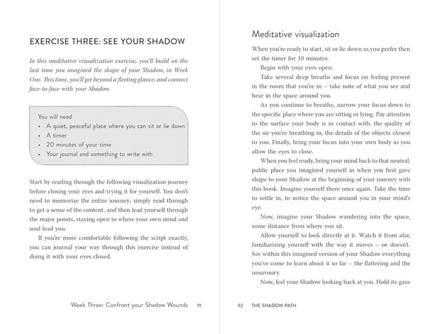 The Shadow Path: Uncovering Depths & Illuminating Potential