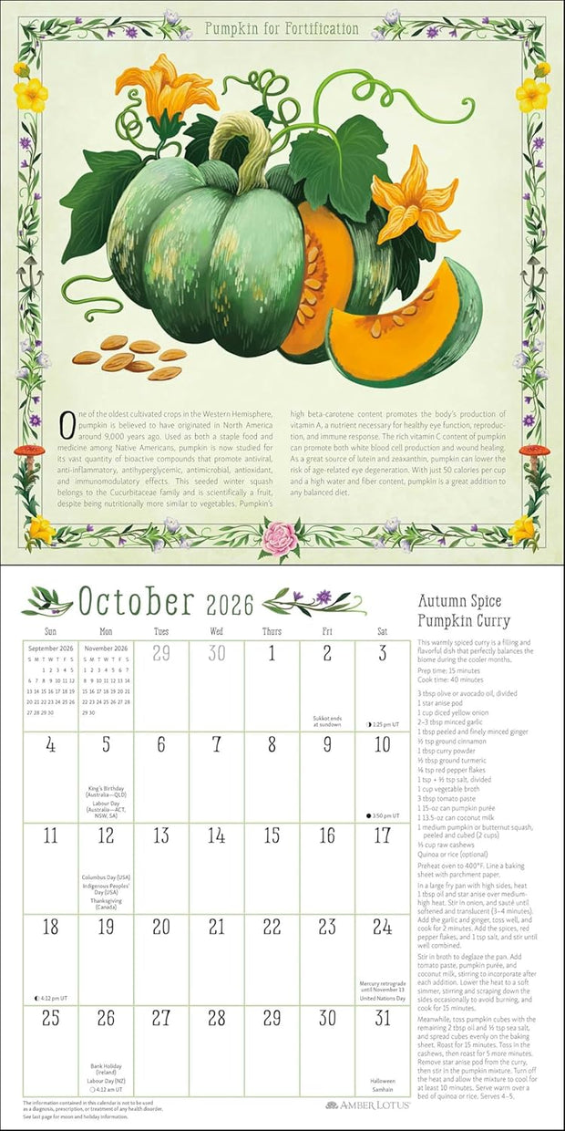 Kitchen Witch 2026 Wall Calendar
