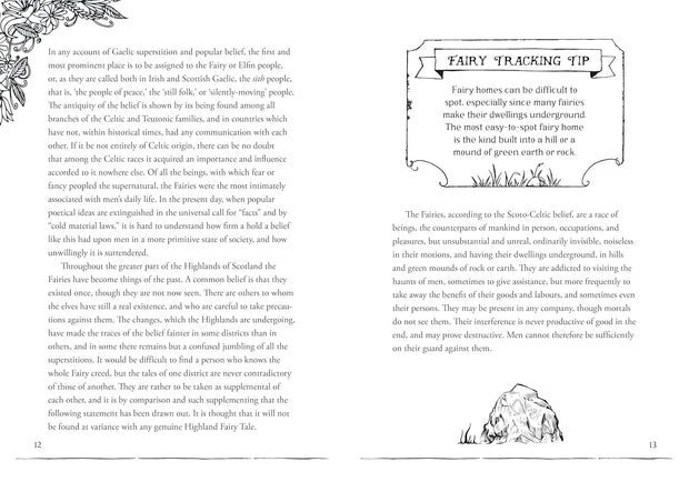 Field Guide To Fairies and Magical: Understanding Fae
