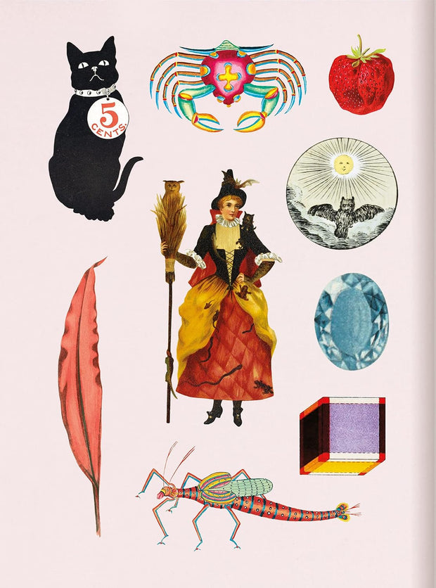 Antiquarian Sticker Book: Bibliophi