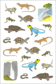 Nature Anatomy Sticker Book: A Julia Rothman Creation; More than 750 Stickers