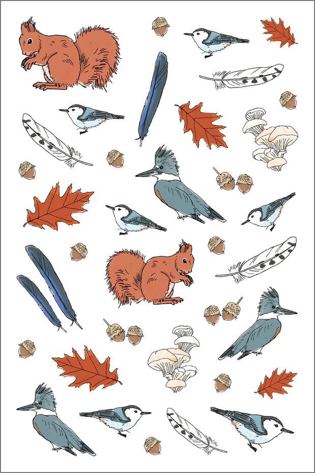Nature Anatomy Sticker Book: A Julia Rothman Creation; More than 750 Stickers