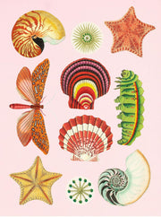 Antiquarian Sticker Book: 1000+ Victorian Stickers