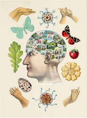 Antiquarian Sticker Book: 1000+ Victorian Stickers