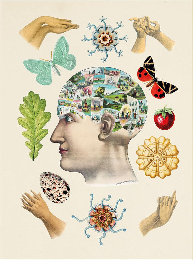 Antiquarian Sticker Book: 1000+ Victorian Stickers
