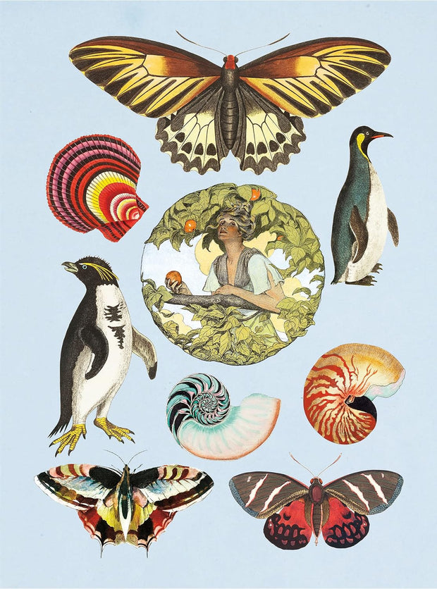 Antiquarian Sticker Book: 1000+ Victorian Stickers