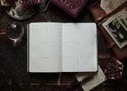 2026 ASTROLOGICAL PLANNER *PREORDER*