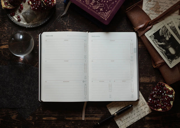 2026 ASTROLOGICAL PLANNER *PREORDER*