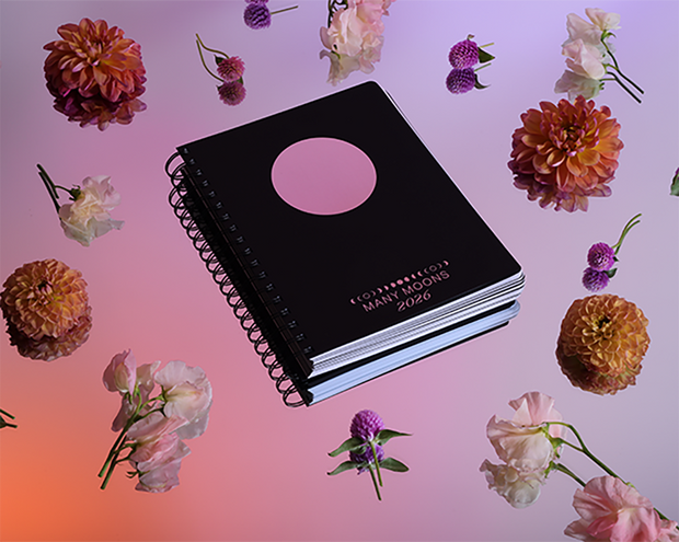 2026 Many Moons Lunar Planner *Preorder*