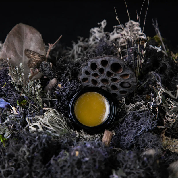 MOON MOSS | Parfum Crème - lavender, oakmoss, patchouli