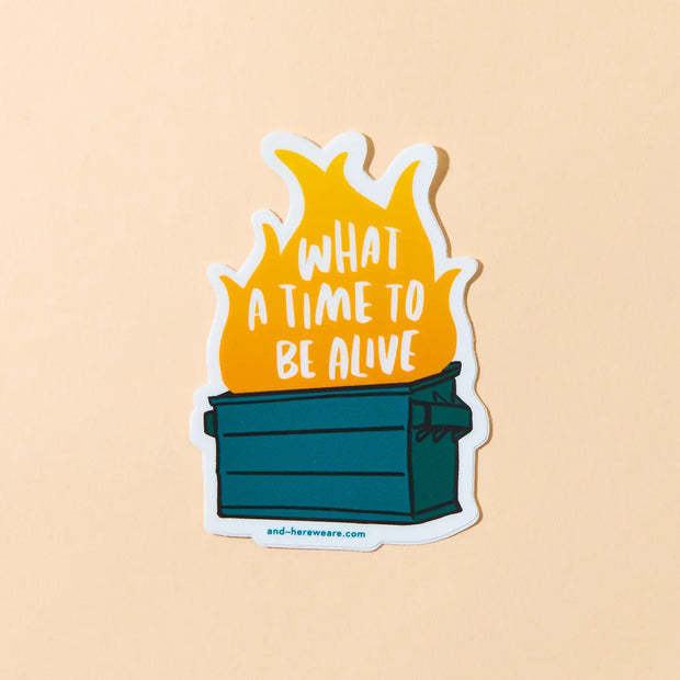 Dumpster Fire Vinyl Sticker- What a Time