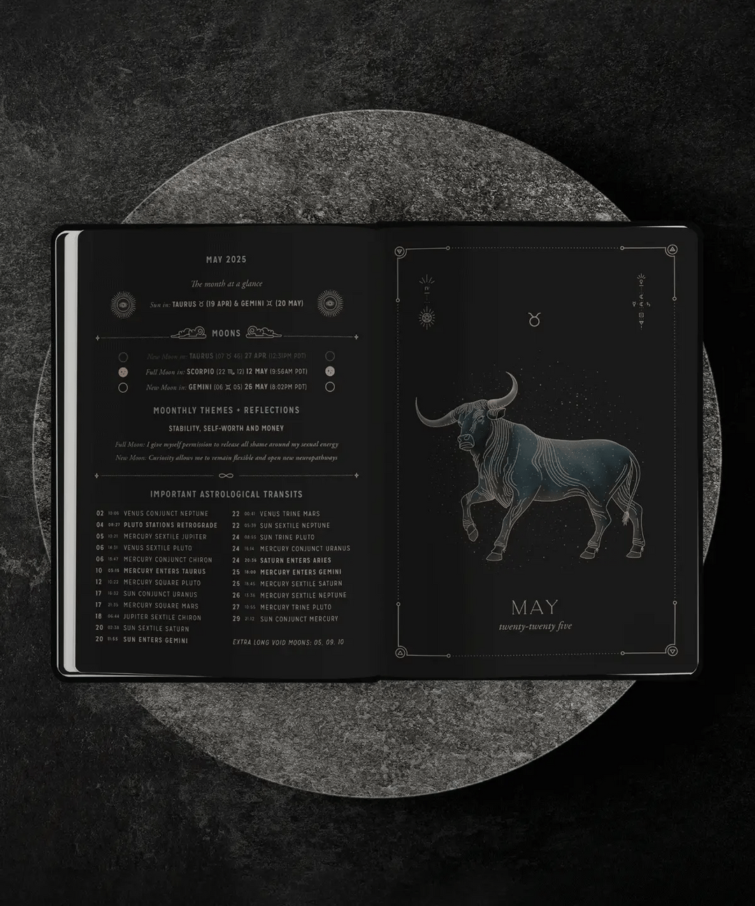 2025-astrological-planner-pre-order-seagrape-apothecary