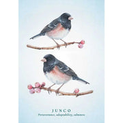 Spiritual Meaning of Birds Oracle Deck