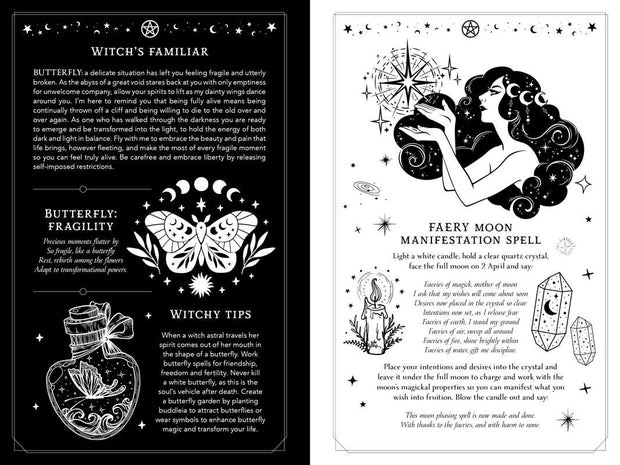 2026 Witch's Diary Planner *Preorder