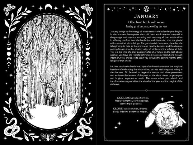 2026 Witch's Diary Planner *Preorder