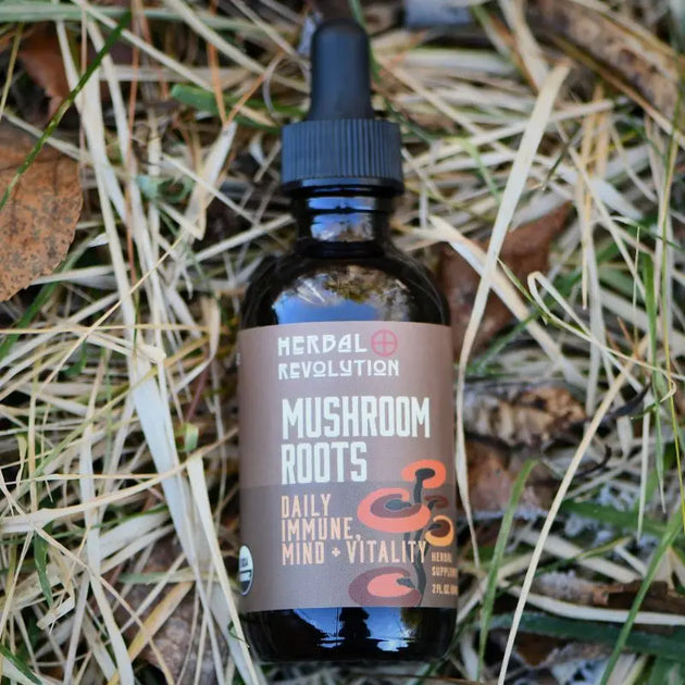 Mushroom & Roots Elixir 2oz – Seagrape Apothecary