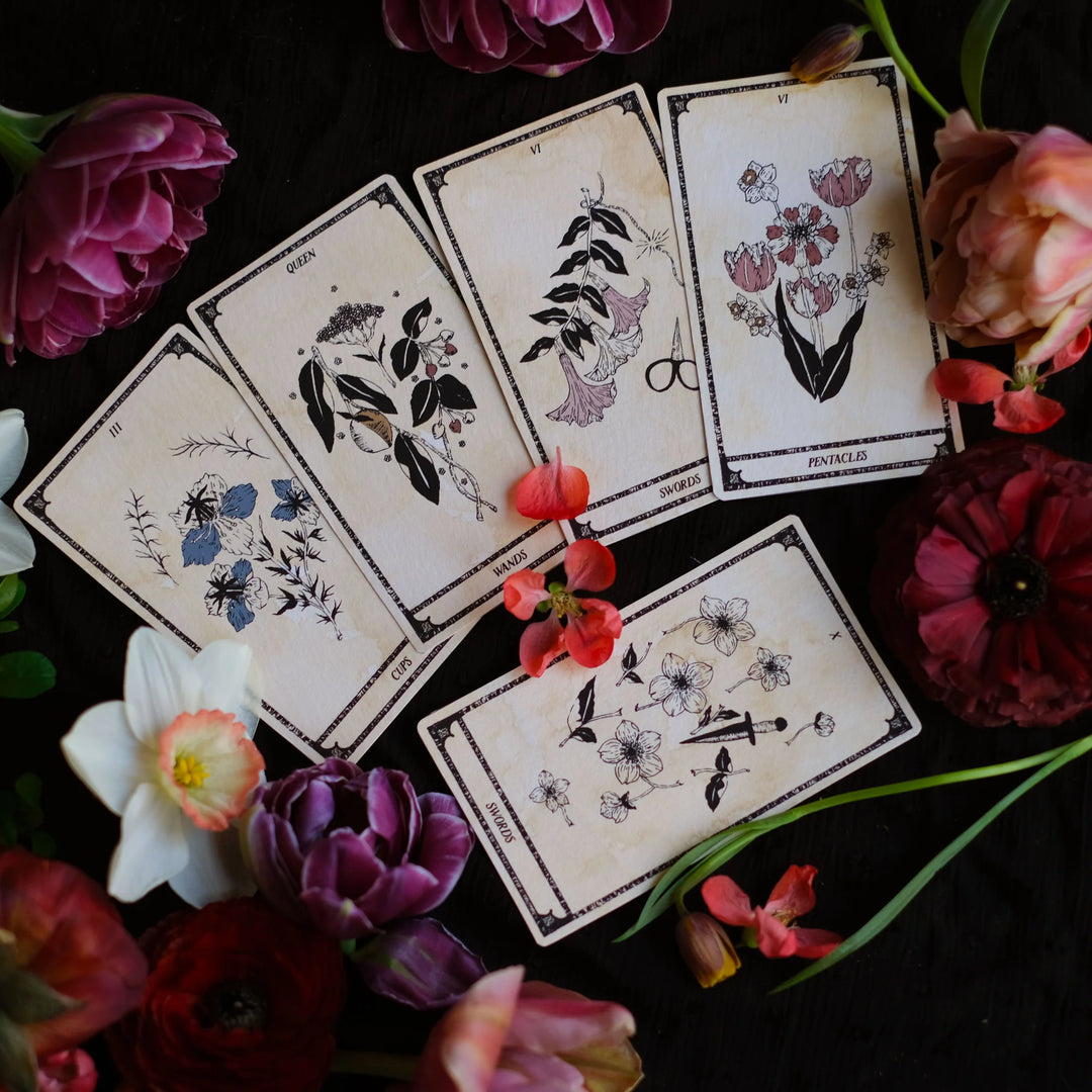 Viola Lux Umbra: Botanical Tarot & Guidebook – Seagrape Apothecary
