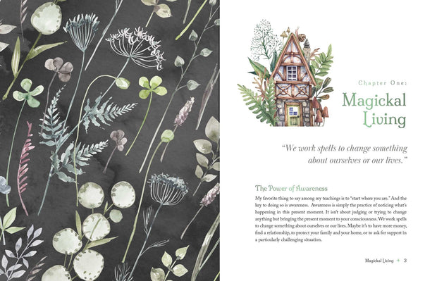 The Witch's Apothecary -- Seasons of the Witch: Magical Potions for the Wheel of the Year