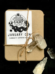 January Community Supported Witch (CSW) Kit: Goals & Structure
