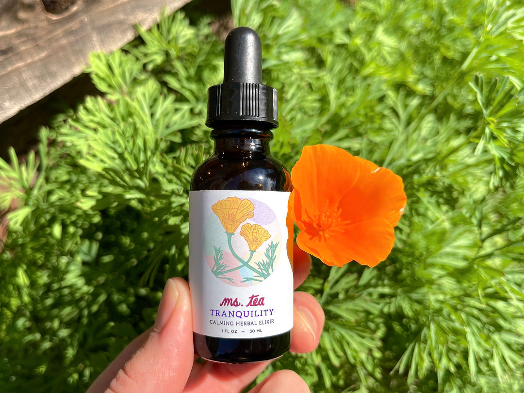 Oils + Drops – Seagrape Apothecary